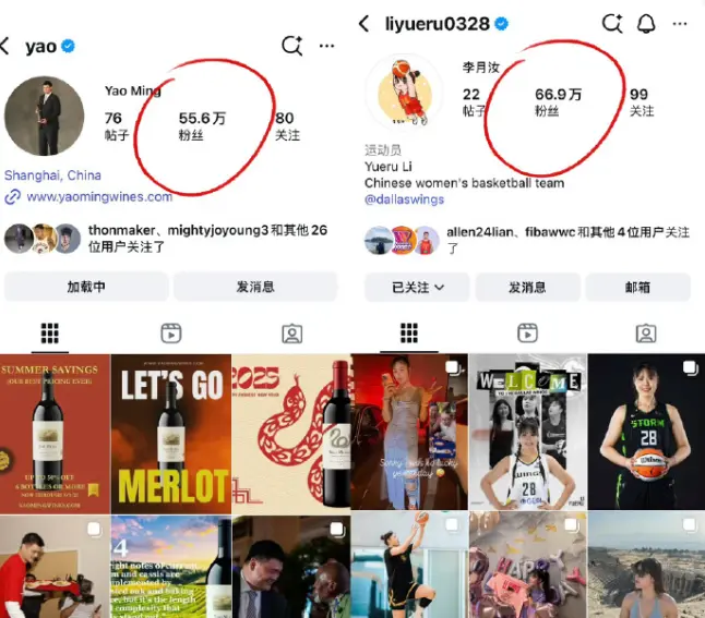 entit, msn, 达拉斯飞翼