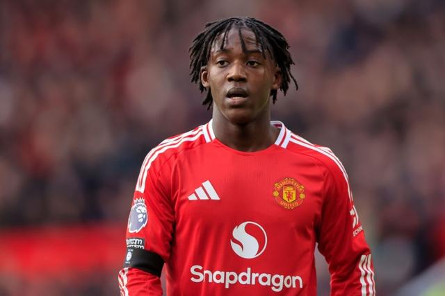 家的还包括 家的还包括